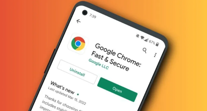 Google Chrome下载安装及浏览器隐私保护设置教程