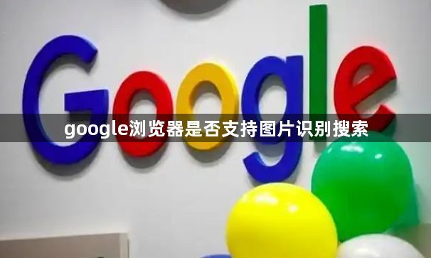 google浏览器是否支持图片识别搜索1