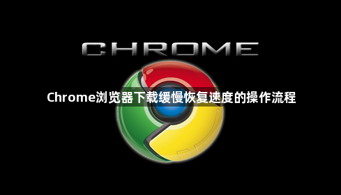 Chrome浏览器下载缓慢恢复速度的操作流程1