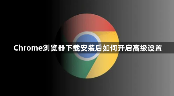 Chrome浏览器下载安装后如何开启高级设置1