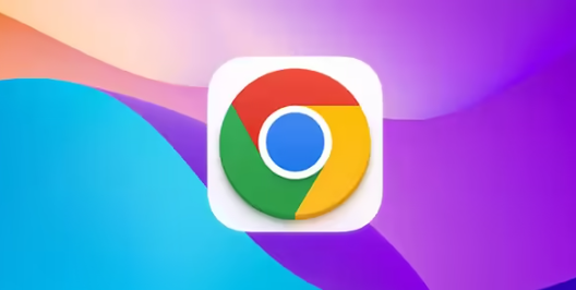 Chrome浏览器安装操作及功能配置操作教程