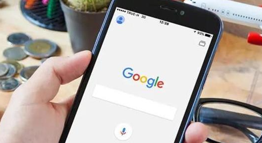 Google浏览器下载安装后网页加载加速技巧