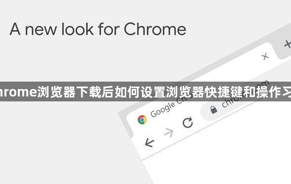 Chrome浏览器下载后如何设置浏览器快捷键和操作习惯1