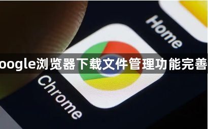 google浏览器下载文件管理功能完善吗1