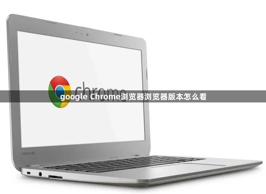 google Chrome浏览器浏览器版本怎么看1