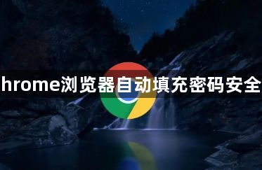 Chrome浏览器自动填充密码安全吗1