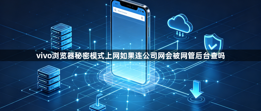 vivo浏览器秘密模式上网如果连公司网会被网管后台查吗1