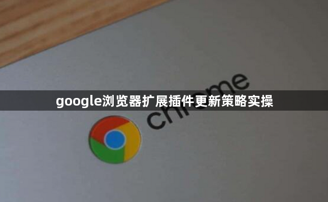 google浏览器扩展插件更新策略实操1