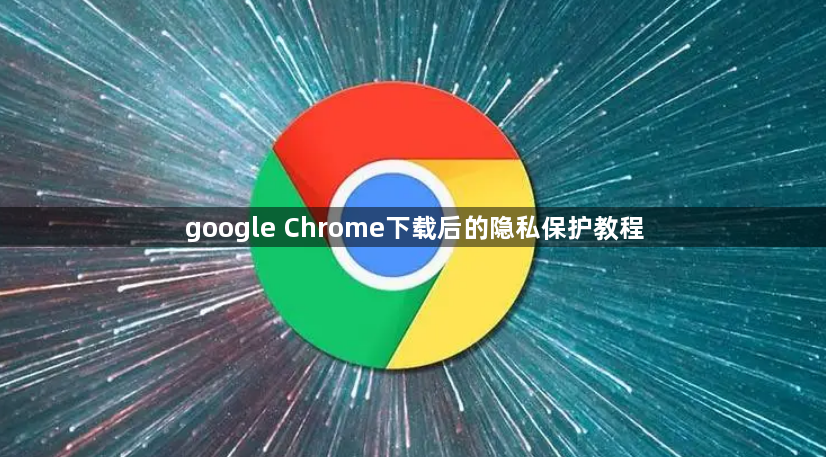 google Chrome下载后的隐私保护教程1